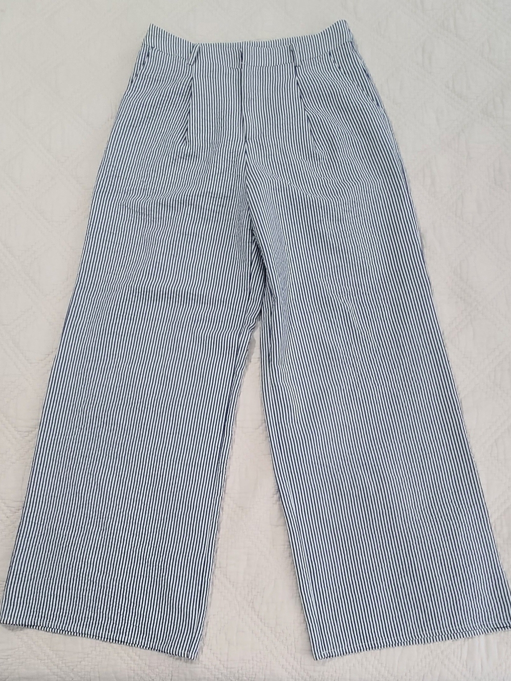 NWOT VICI Wide-Leg Seersucker Chinos — Blue & White Stripe